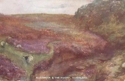 British scenic UK England Goathland moors