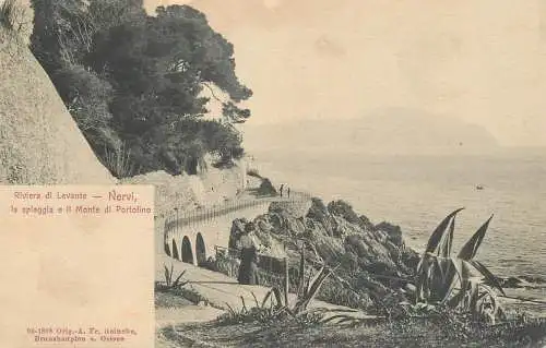 Italy postcard Riviera di Levante Nervi Monte di Portofino