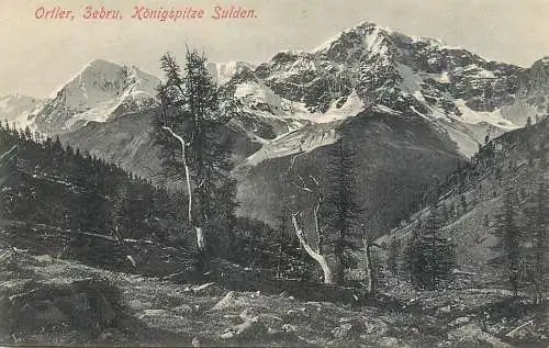 Italy postcard Ortler Konigspitze Sulden