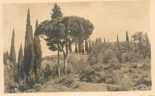 Italy postcard hillside view