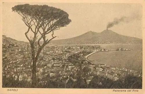 Italy  postcard Naples