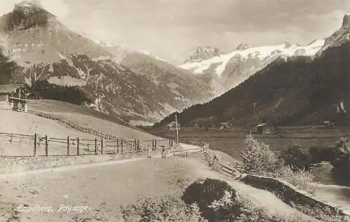 Switzerland postcard Engelberg paysage
