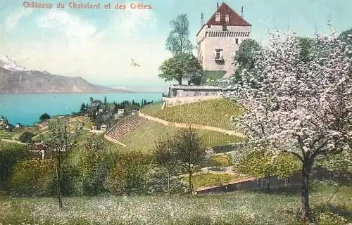 Switzerland postcard chateux de Chatelard et des Cretes