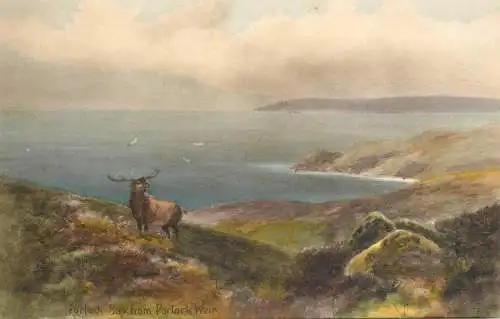 Scenic postcard Scotland Portock Bay Weir stag