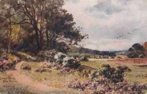 Scenic postcard England New Forest Emery Down landscape