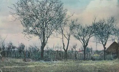 Scenic postcard orchard village