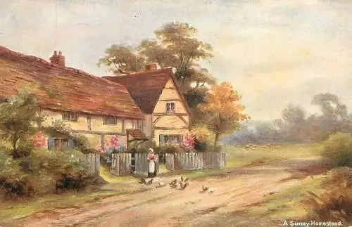 Scenic postcard England Surrey homestead