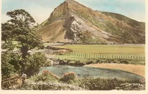 Wales Towyn Bird Rock