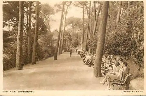 England Bournemouth Pine Walk