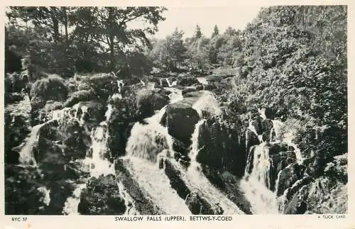 Wales Bettws-y-Coed Swallow Falls (upper)