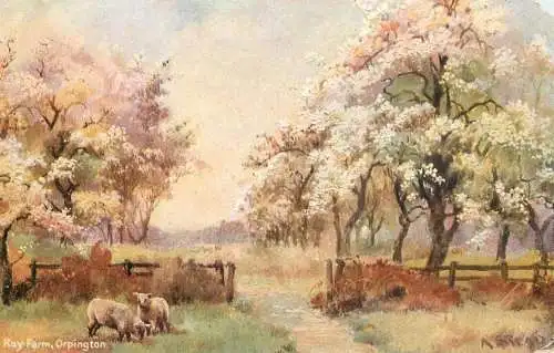 United Kingdom Scotland Kay farm Orpington