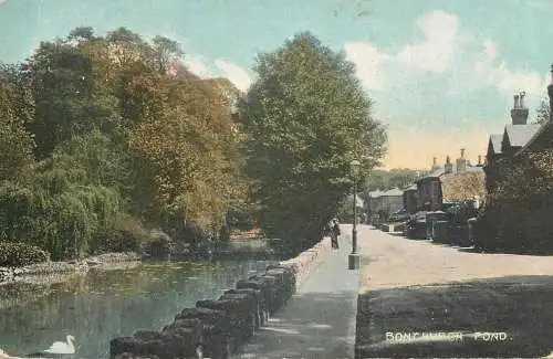 England Bonchurch - pond