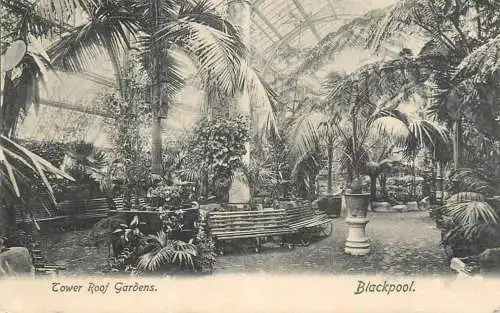 United Kingdom England Blackpool tower roof gardens
