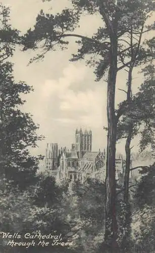United Kingdom England Wells cathedral