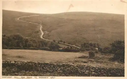 United Kingdom England Dartmeet Hill Badger's Holt