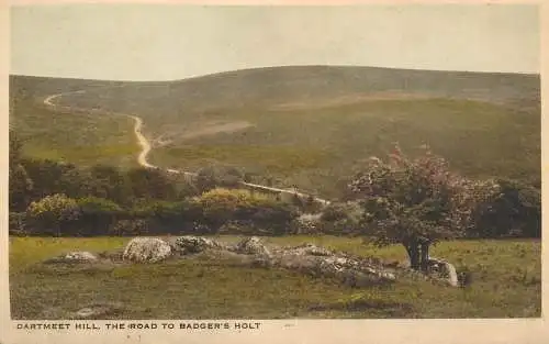 United Kingdom England Dartmeet Hill Badger's Holt