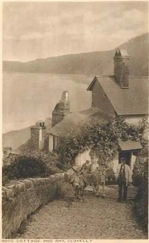 United Kingdom England Clovelly rose cottage