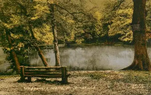 United Kingdom England Waggoners Wells