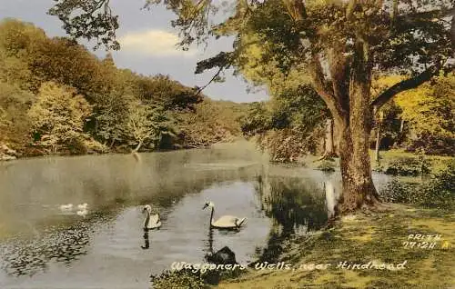 United Kingdom England Waggoners Wells Lac din Anglia
