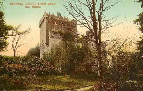 United Kingdom Ireland Cork Blarney castle