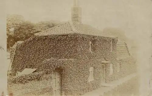 United Kingdom England house covered in ivy