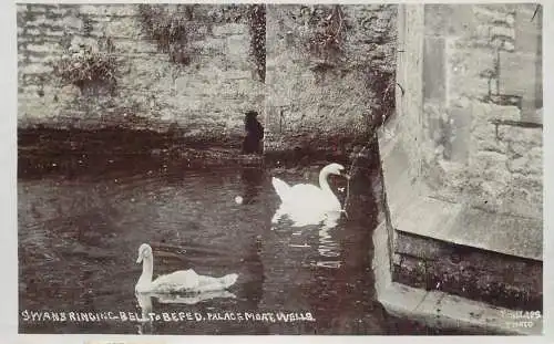 United Kingdom England Wells palace moat swans