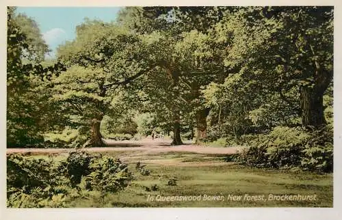 United Kingdom England in Queenswood Bower New Forest