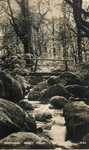 United Kingdom England Dartmoor Becky Falls