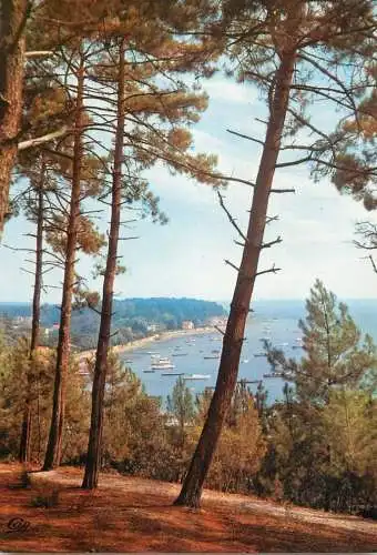 Navigation sailing vessels & boats themed postcard cote d'Argent Bassin d'Arcachon