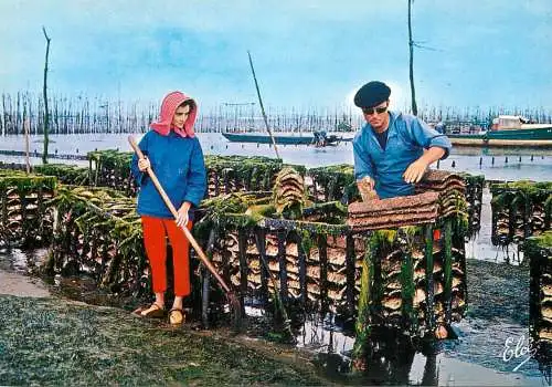 Navigation sailing vessels & boats themed postcard bassin d'Arcachon travaux Ostreicoles