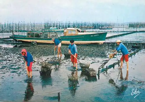 Navigation sailing vessels & boats themed postcard bassin d'Arcachon travaux Ostreicoles