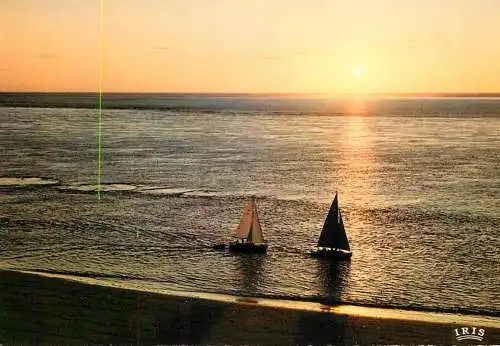 Navigation sailing vessels & boats themed postcard bassin d'Arcachon
