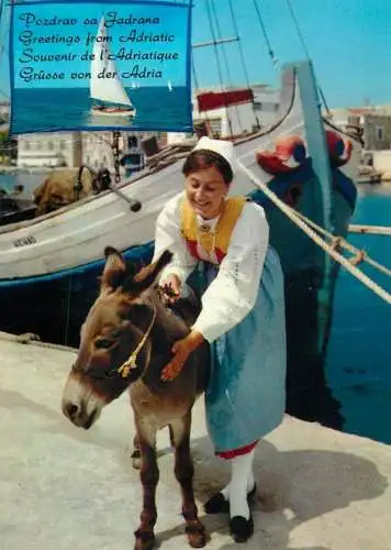 Navigation sailing vessels & boats themed postcard motif from the Adriatic donkey yacht
