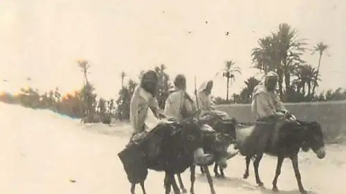 North Africa ethnics, donkey ride small format photo 4 x 6 cm
