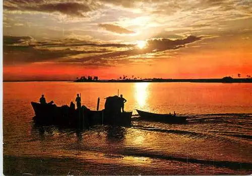 Navigation sailing vessels & boats themed postcard Jerba Tunsie coucher de soleil