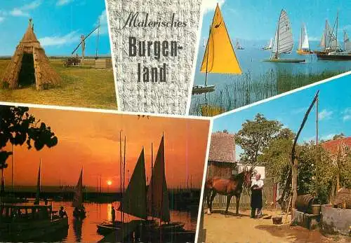 Navigation sailing vessels & boats themed postcard Burgenland windsurf