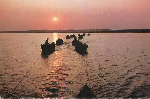Navigation sailing vessels & boats themed postcard Romania Delta Dunarii fishing vessels