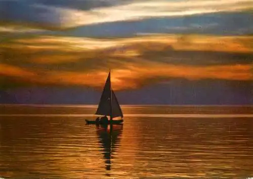 Navigation sailing vessels & boats themed postcard pleasure sail boats