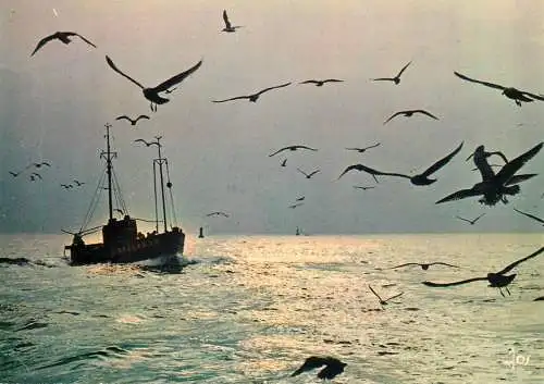 Navigation sailing vessels & boats themed postcard fishing boats