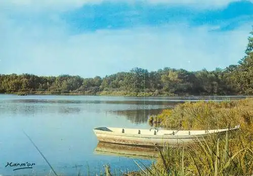 Navigation sailing vessels & boats themed postcard forest lake boat