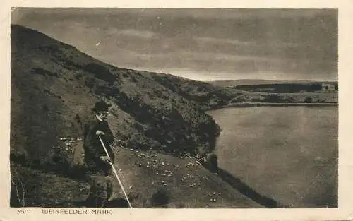 Germany Weinfelder Maar (Eifel) shepherd with flock