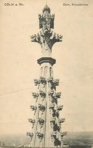 Germany Koln am Rhein Dom Kreuzblume