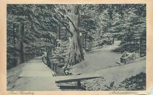 Germany Bad Harzburg Philosophenweg