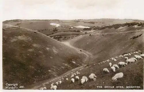 England Brighton Devils Dyke sheep flock