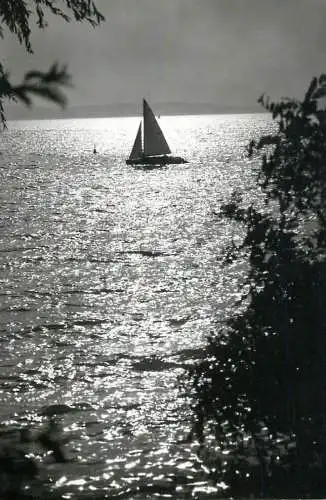 Navigation sailing vessels & boats themed postcard Balaton lake