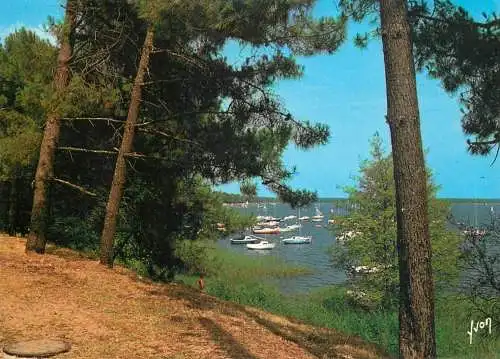 Navigation sailing vessels & boats themed postcard Lac de Lacanau Gironde