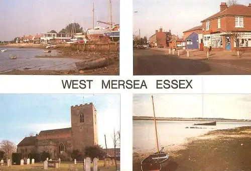 Navigation sailing vessels & boats themed postcard West Mersea Essex