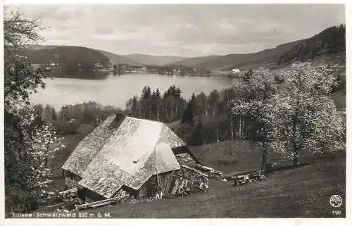 Germany Titisee Schwarzwald