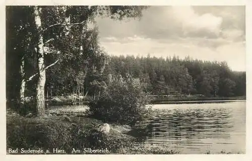 Germany Bad Suderode am Harz Am Silberteich