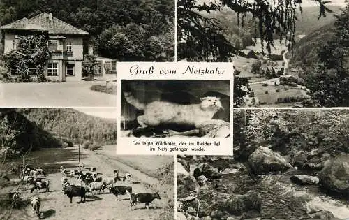 Germany Gruss vom Netzkater multi view